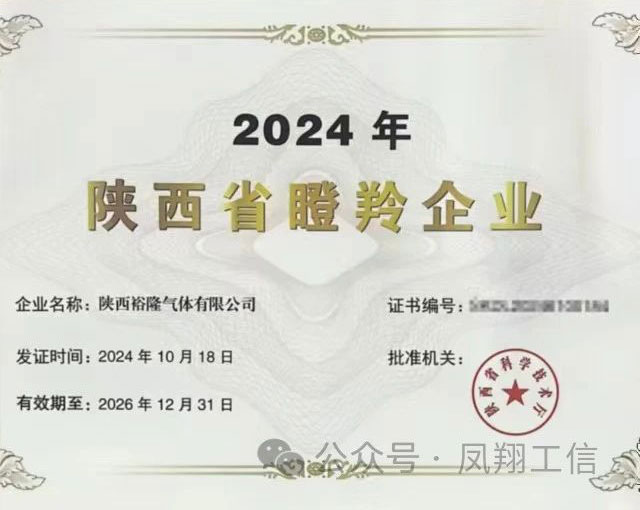 恭喜陜西裕隆氣體有限公司榮獲寶雞鳳翔區(qū)瞪羚企業(yè)稱(chēng)號(hào)